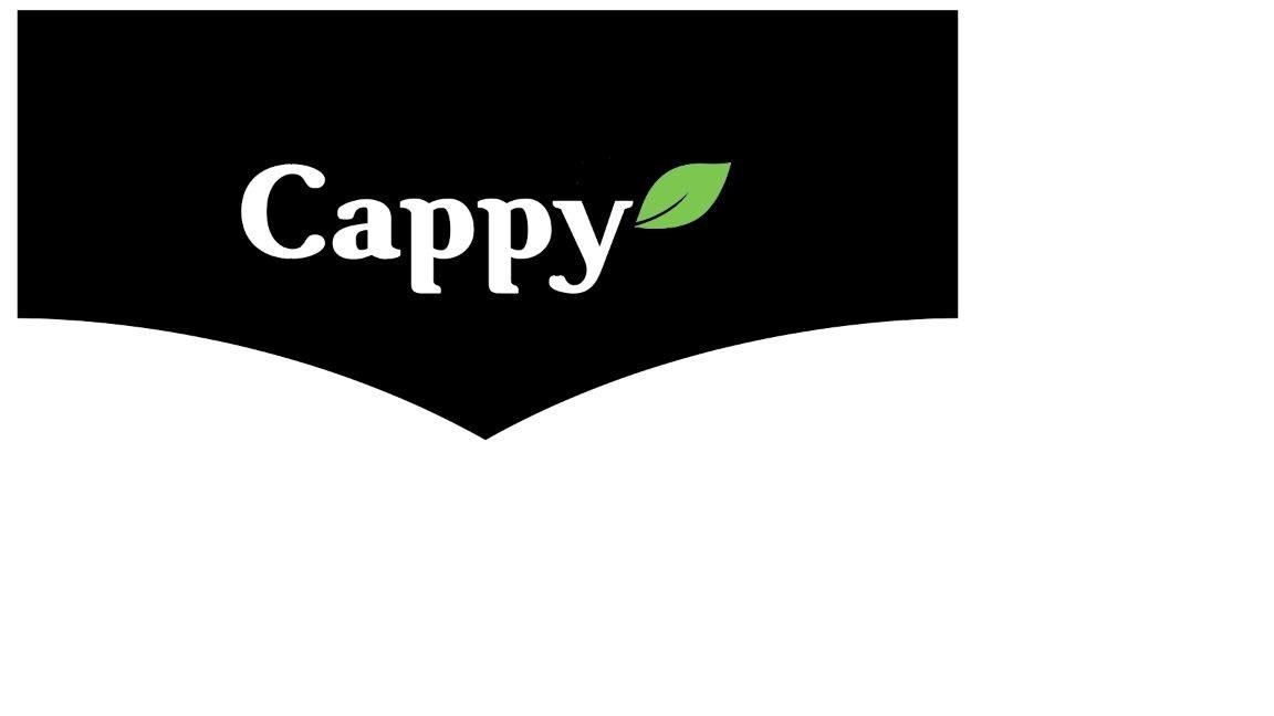 Paraqitja e markës Cappy