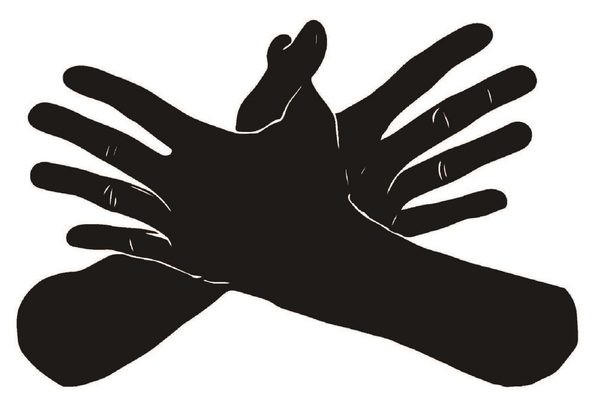 Paraqitja e markës TWO HANDS