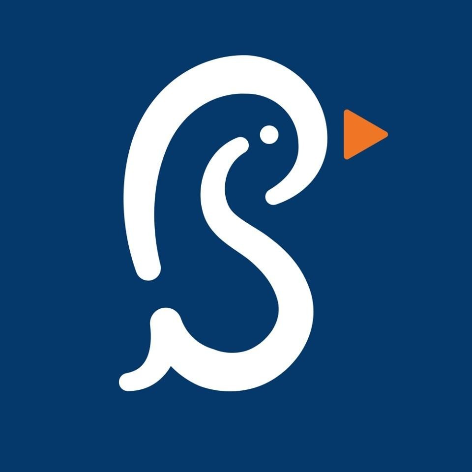 Paraqitja e markës PINGUIN