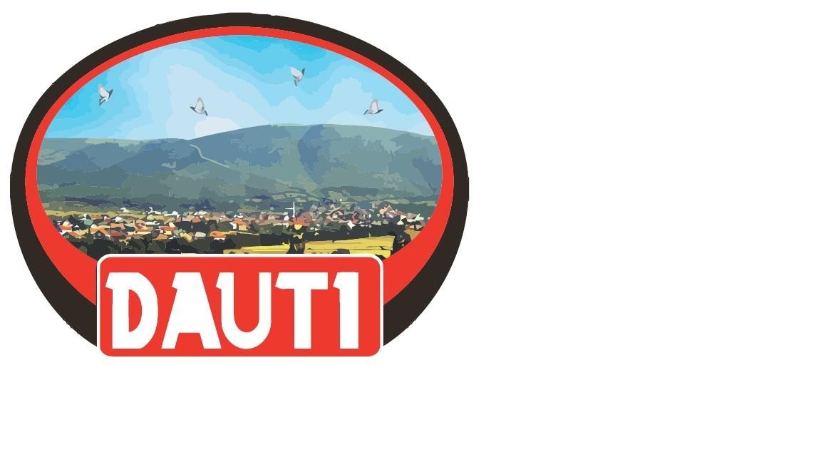 Paraqitja e markës DAUTI