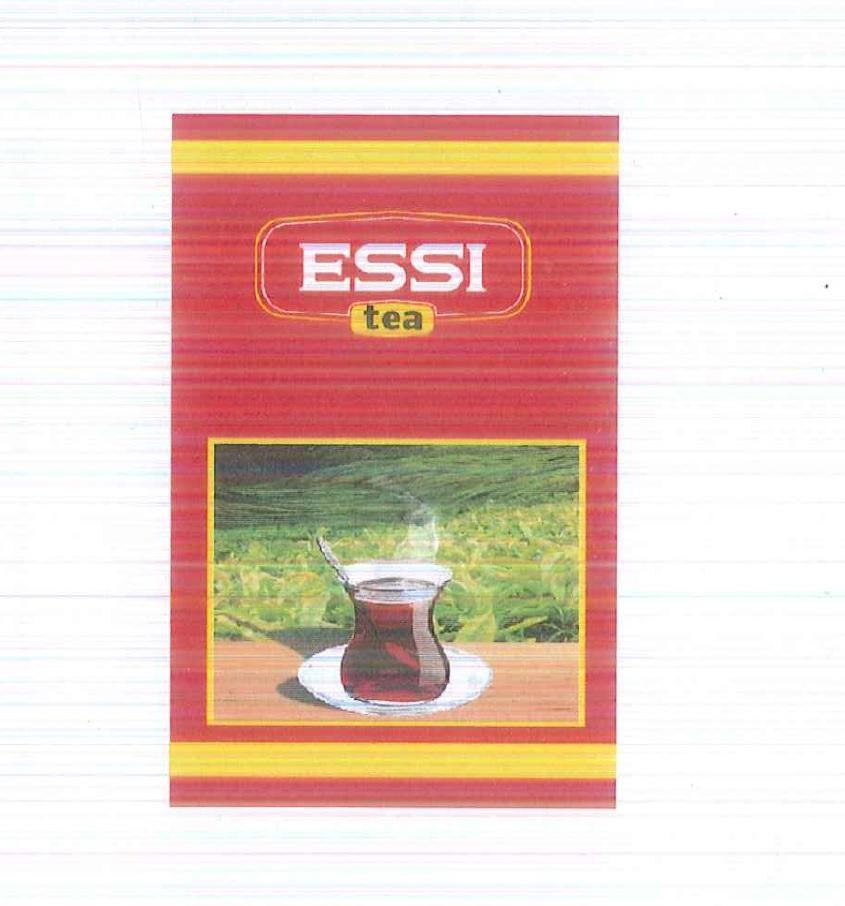 Paraqitja e markës ESSI