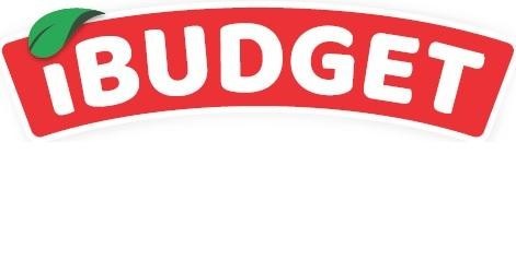 Paraqitja e markës IBUDGET