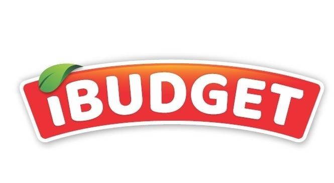 Paraqitja e markës ibudget