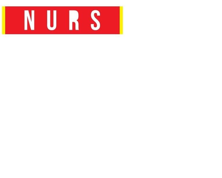Paraqitja e markës NURS