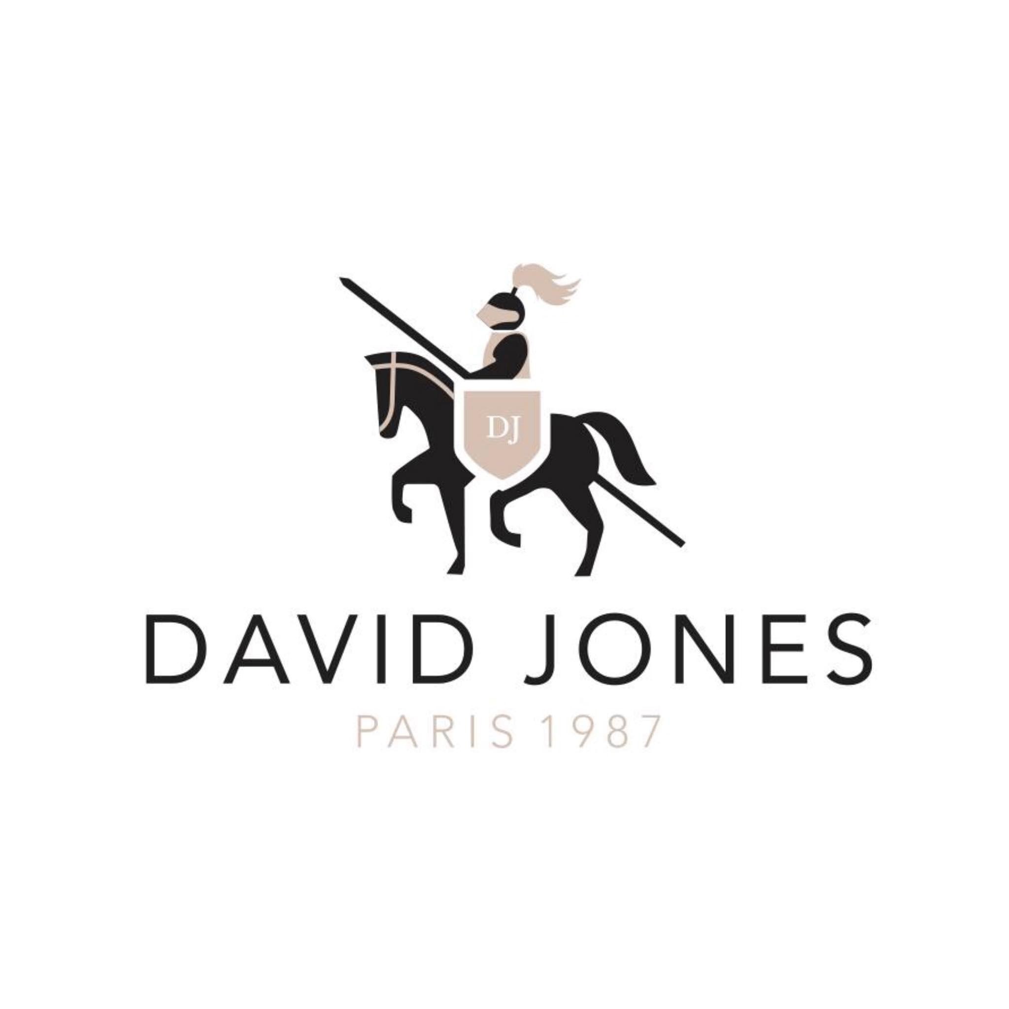 Paraqitja e markës david jones