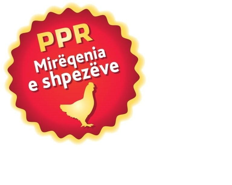 Paraqitja e markës PPR