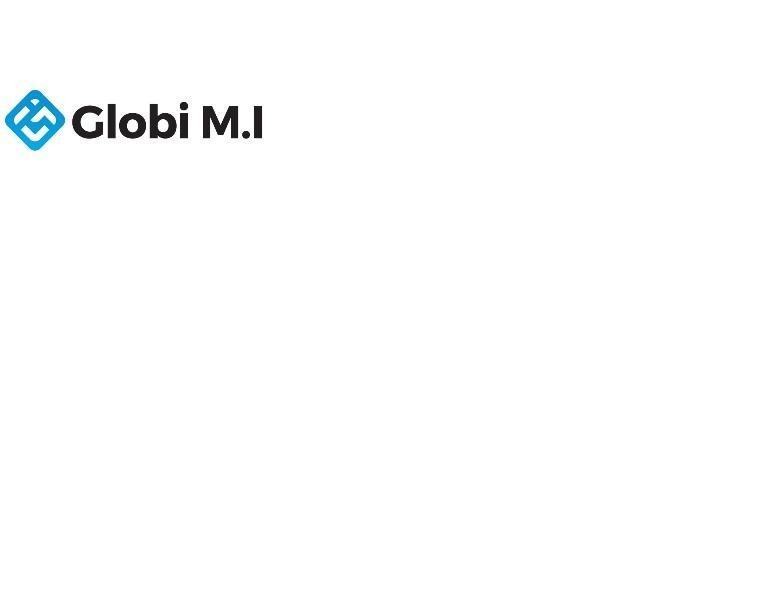 Paraqitja e markës GLOBI M.I