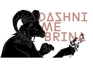 Paraqitja e markës DASHNI ME BRINA