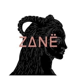 Paraqitja e markës ZANE