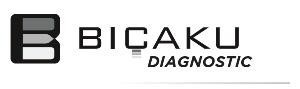 Paraqitja e markës BIÇAKU DIAGNOSTIC