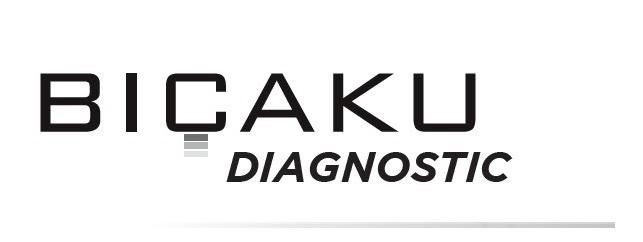 Paraqitja e markës BIÇAKU DIAGNOSTIC