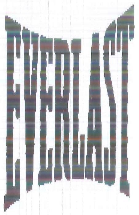Paraqitja e markës EVERLAST
