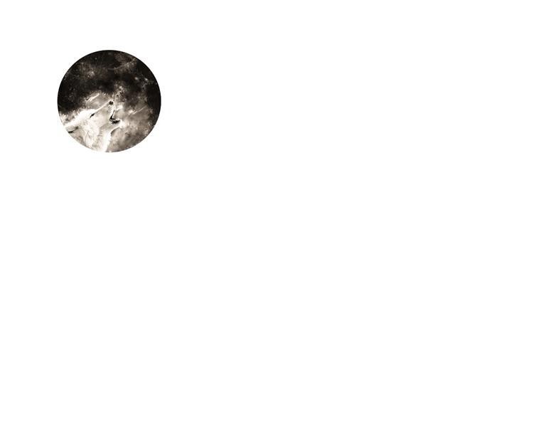 Paraqitja e markës WOLF