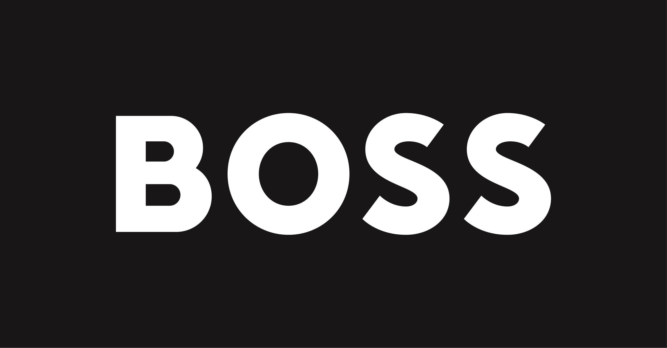 Paraqitja e markës boss
