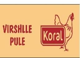 Paraqitja e markës KORAL