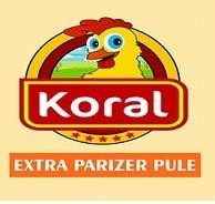 The representation of the trademark KORAL
