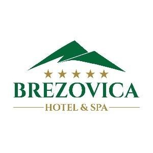 Paraqitja e markës BREZOVICA