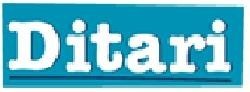 Paraqitja e markës Ditari