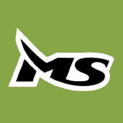 Η απεικόνιση του σήματος MS