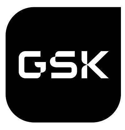 Paraqitja e markës GSK