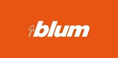 Paraqitja e markës blum