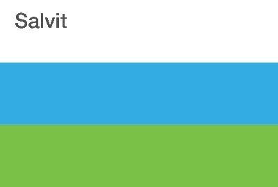 Paraqitja e markës Salvit