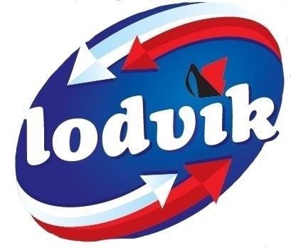 Die Wiedergabe der Marke lodvik