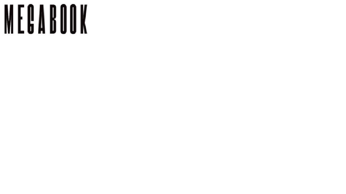 The representation of the trademark MEGABOOK