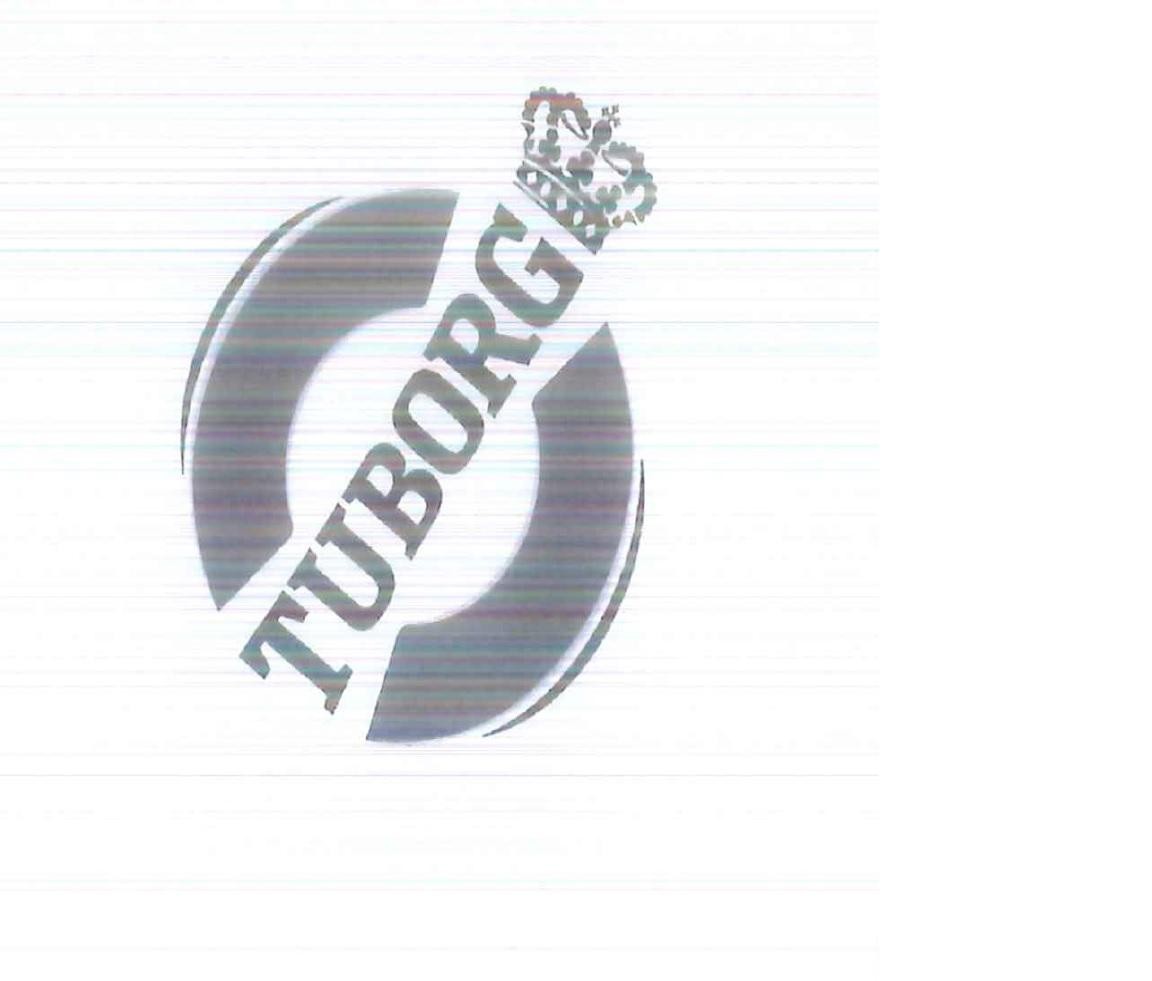 Paraqitja e markës TUBORG