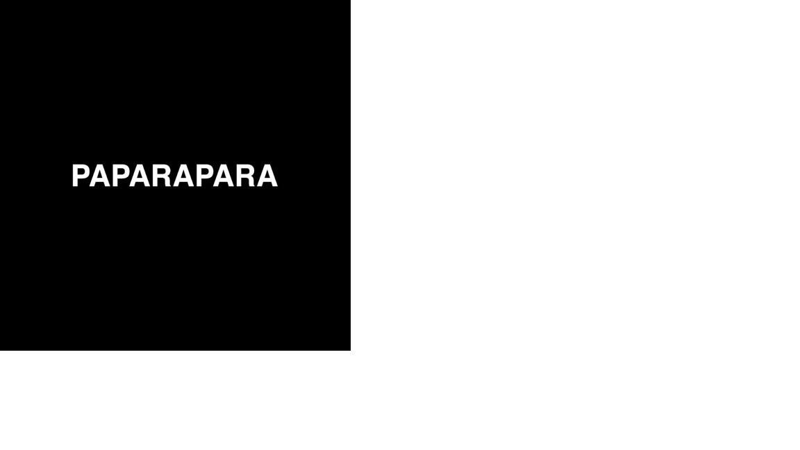 Paraqitja e markës PAPARAPARA