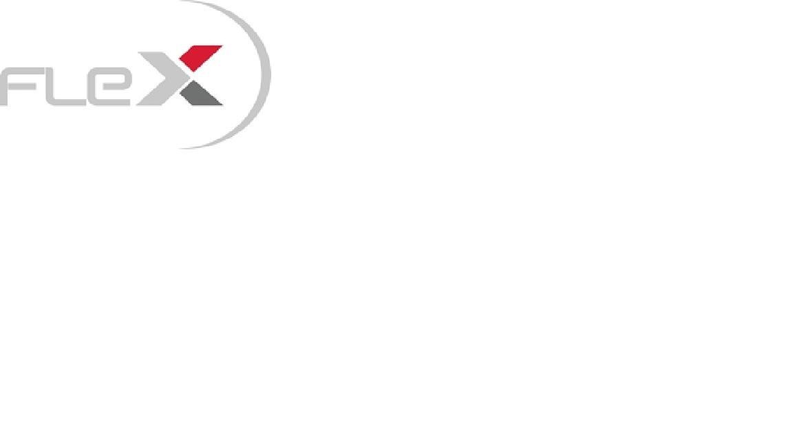 The representation of the trademark FLEX