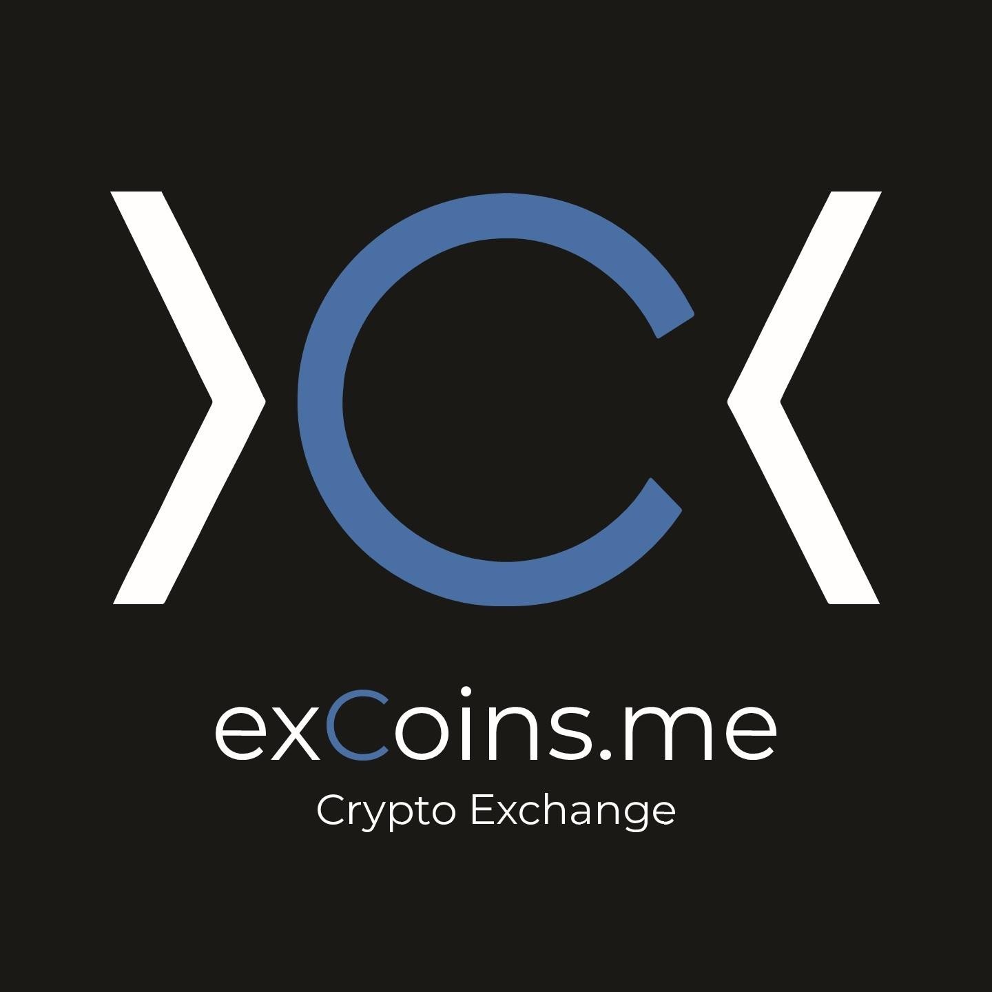 Paraqitja e markës excoins.me