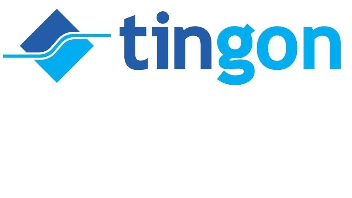 Paraqitja e markës TIGON