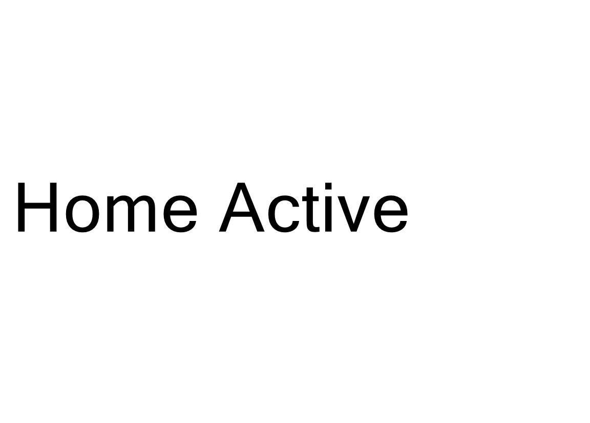Paraqitja e markës home active