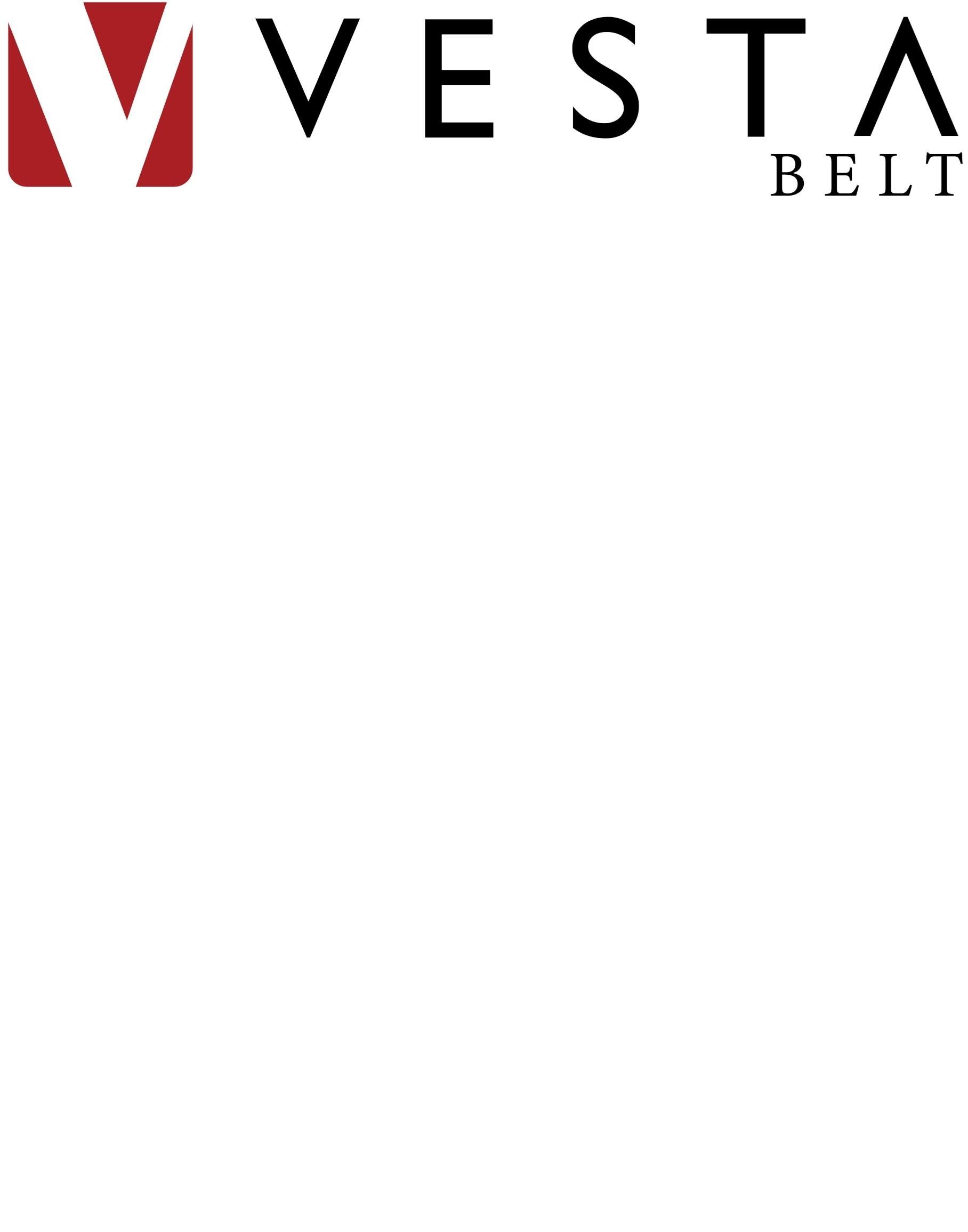 Paraqitja e markës VESTA BELT