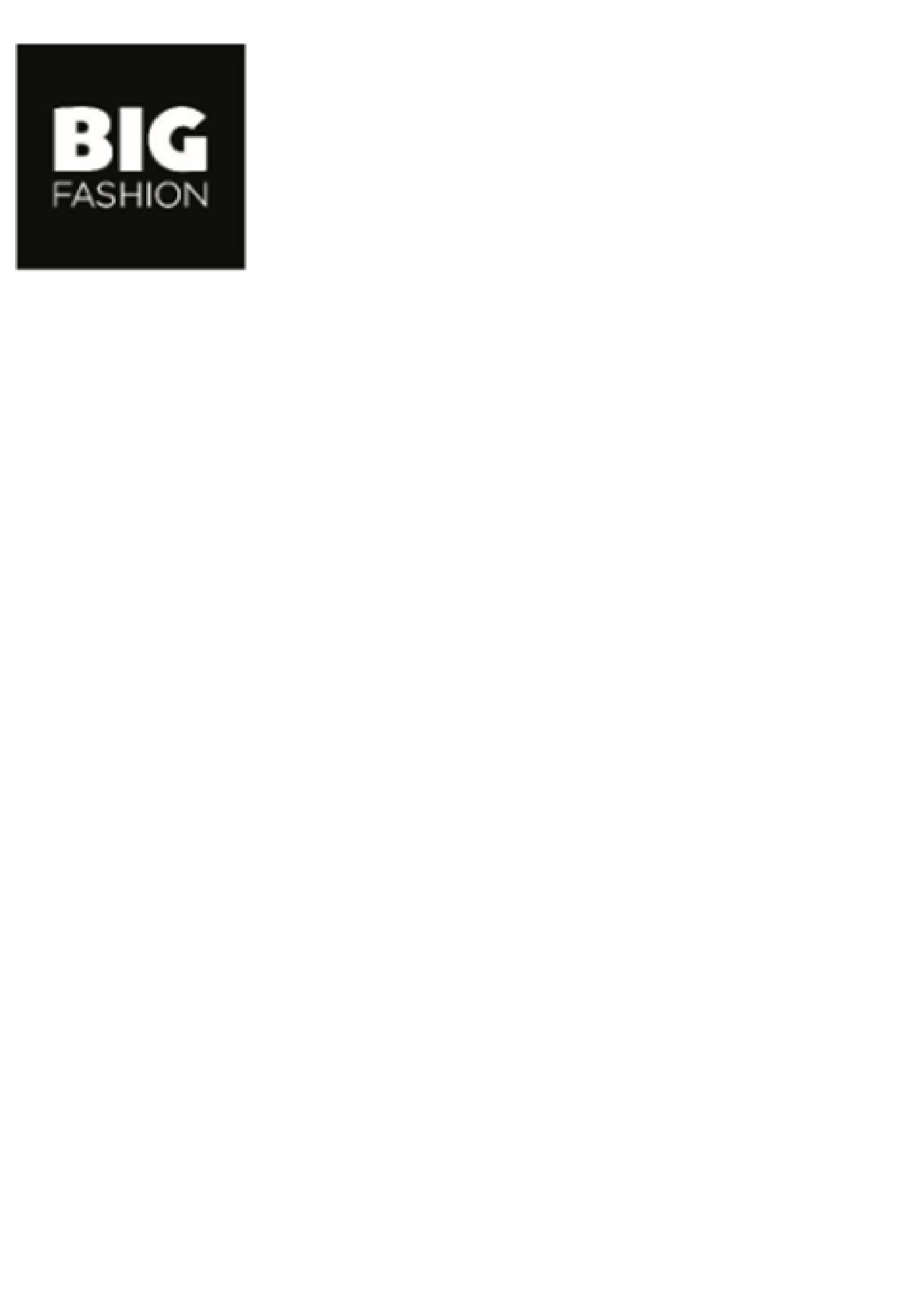 Paraqitja e markës BIG FASHION