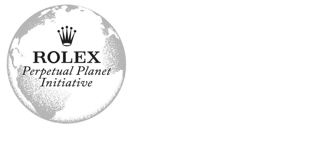 Paraqitja e markës ROLEX