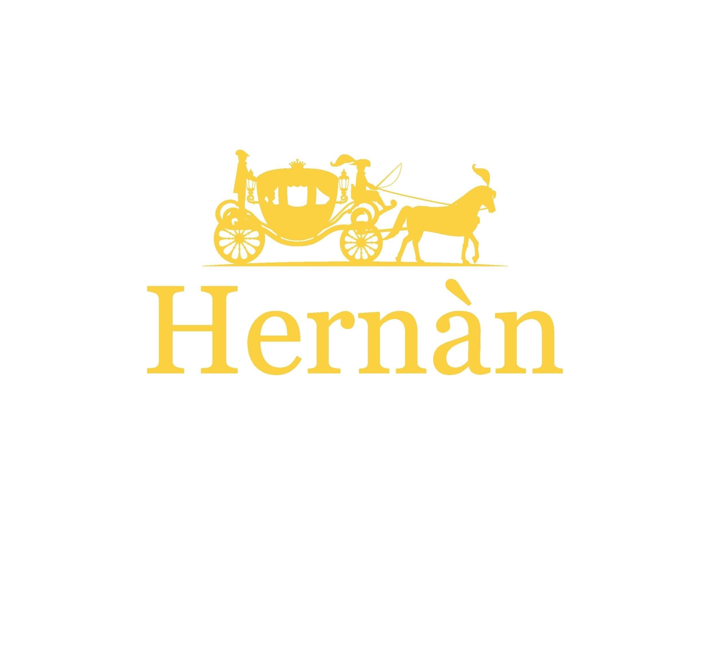 Paraqitja e markës HERNAN