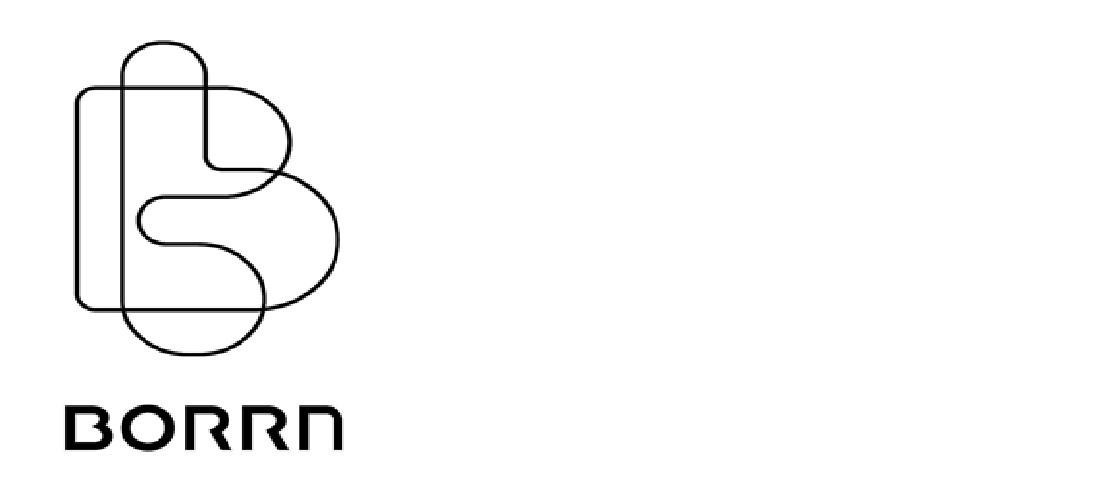 Paraqitja e markës BORRN