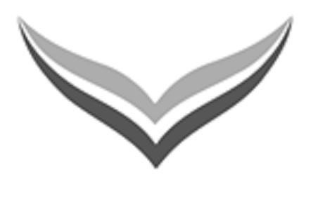 The representation of the trademark swingarm