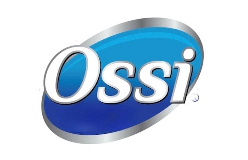 Paraqitja e markës OSSI