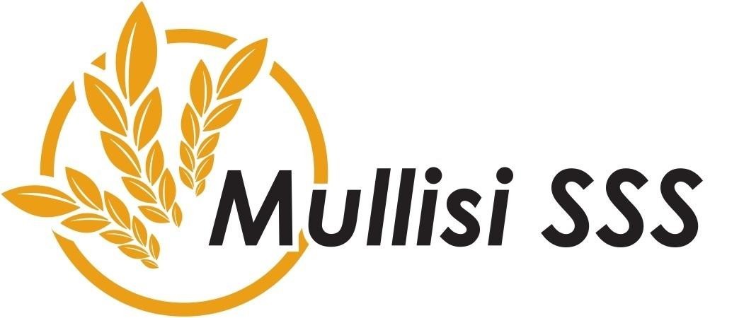 Paraqitja e markës MULLISI SSS
