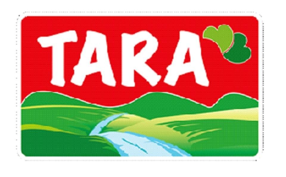 Paraqitja e markës TARA