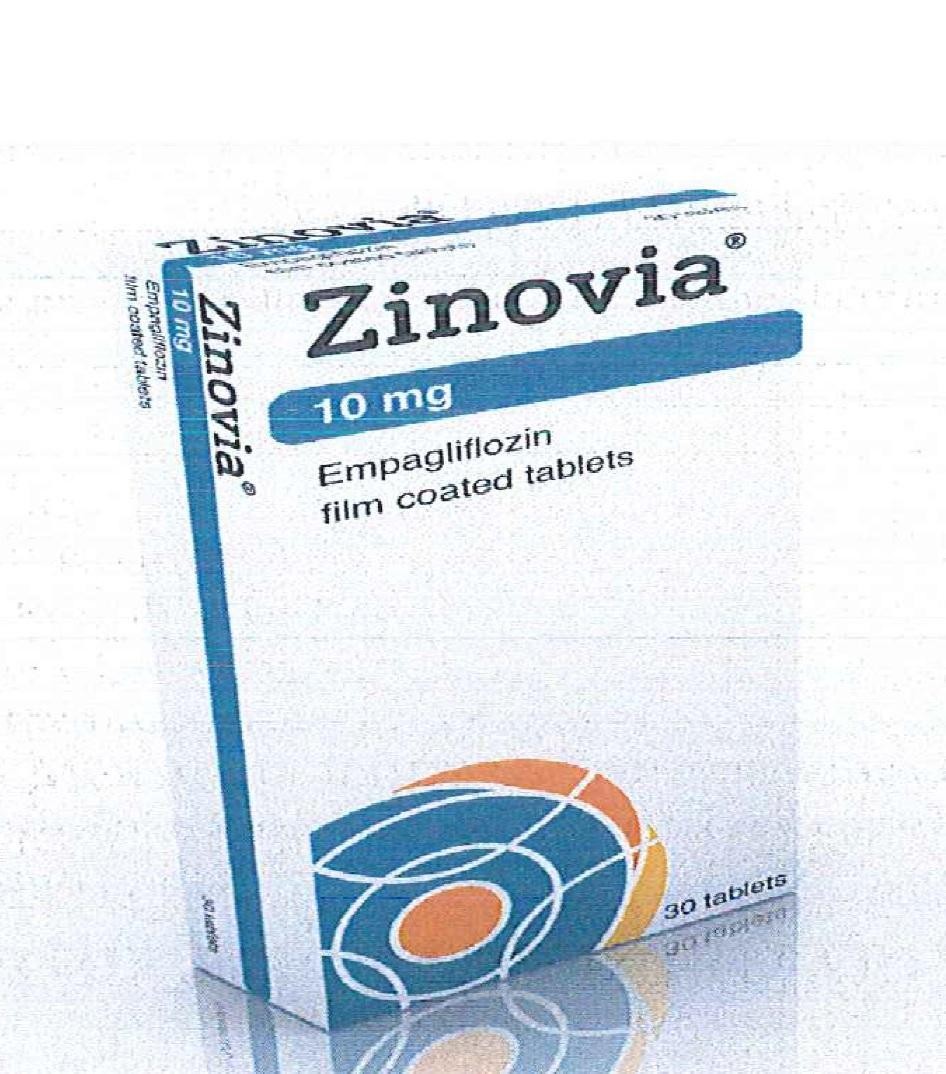 Paraqitja e markës ZINOVIA