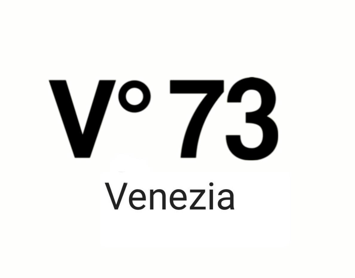Paraqitja e markës V73 venezia