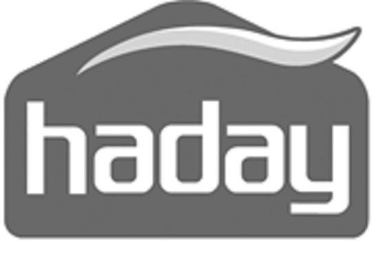 Paraqitja e markës HADAY