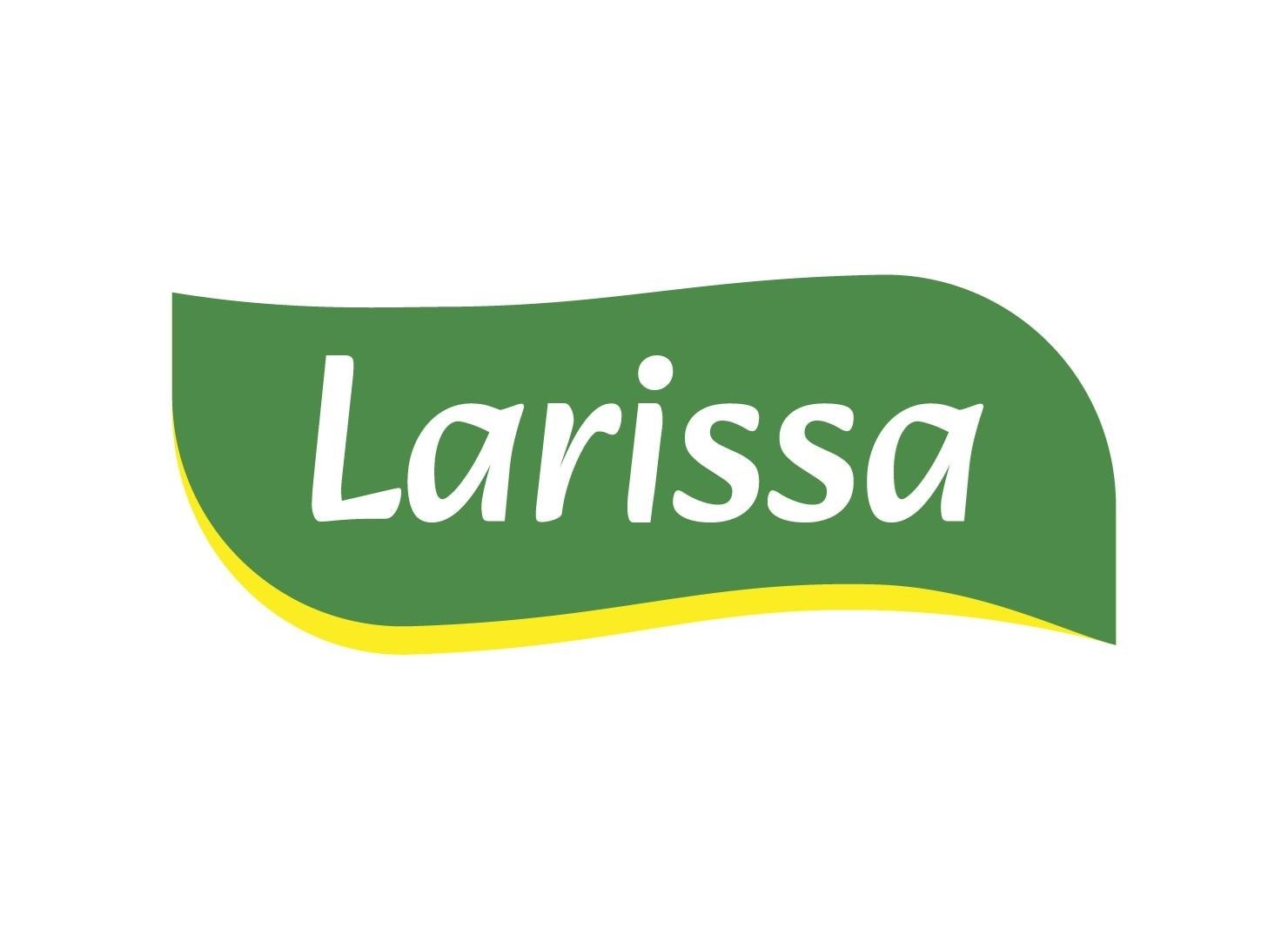 Paraqitja e markës RUKO