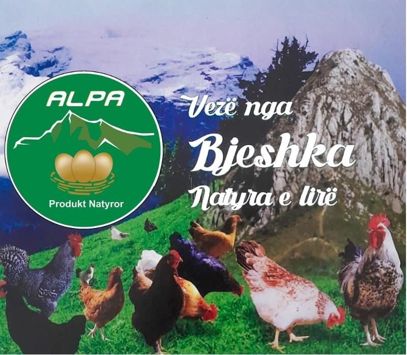 Paraqitja e markës ALPA