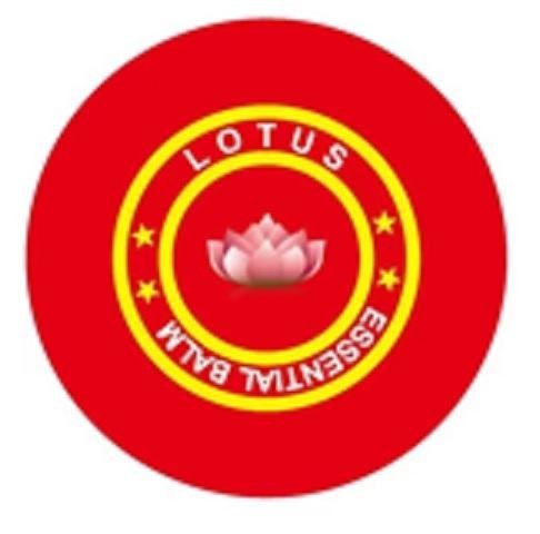 lotus markasının görünümü