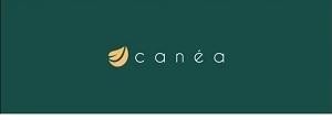 The representation of the trademark CANEA